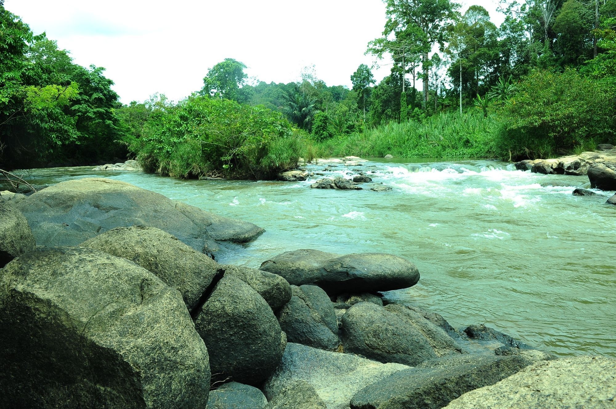 Capital O 90665 Countryview Recreation Park & Resort Benta Luaran gambar